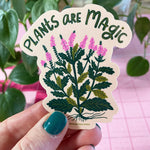 Plant Magic Sticker