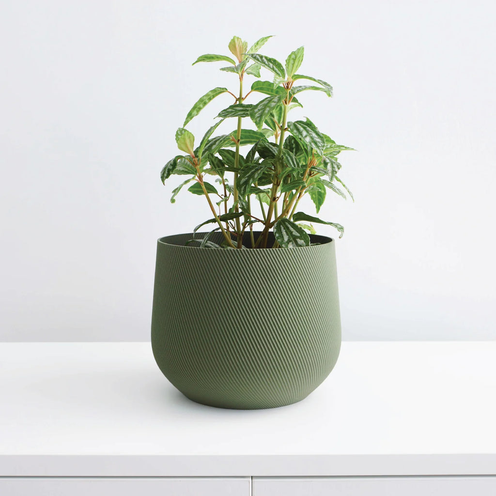 Juniper Planter 5" - Olive Green 3D Printed