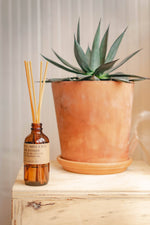 P.F. Candle Co. Amber + Moss - Reed Diffuser