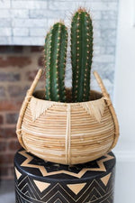 Accent Decor Cane Basket 12"x 8.75" 63730.00